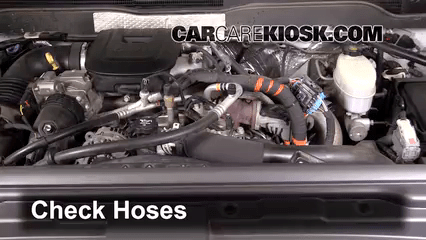 How to Add Coolant: Chevrolet Silverado 2500 HD (2015-2019) - 2015